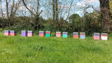 les-ruchers-de-st-gilles