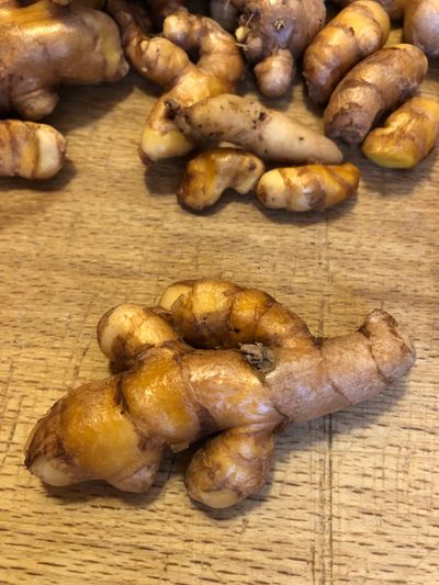 Le curcuma
