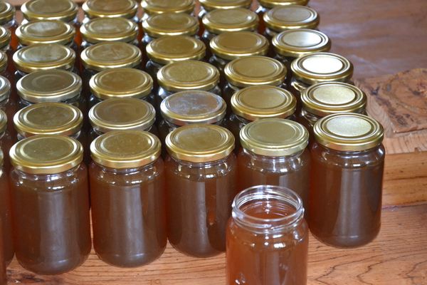 Les vertus du miel en cosmétique