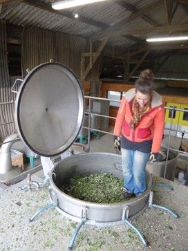 Distillation