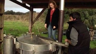 Distillation