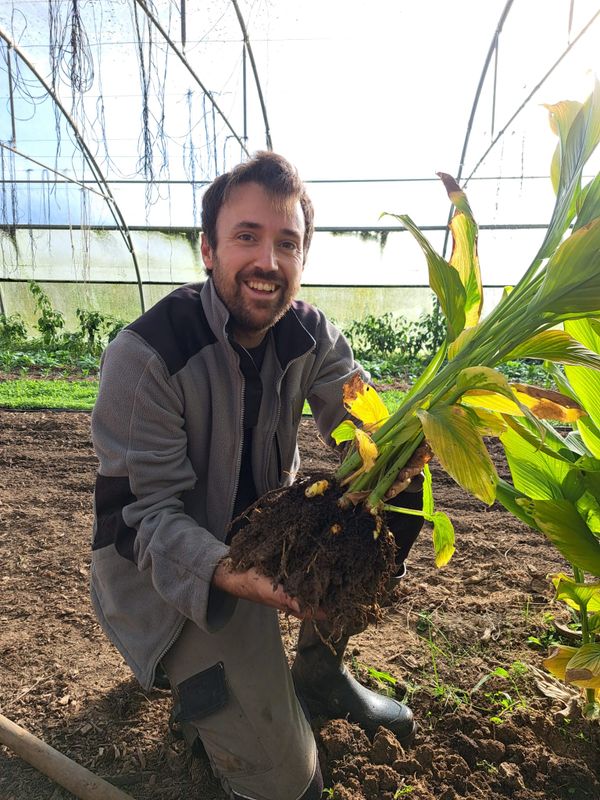 Le curcuma, un ingrédient local et engagé