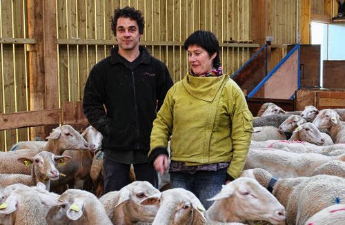 Kristen et Cécile au milieu de leur troupeau de brebis Lacaune.